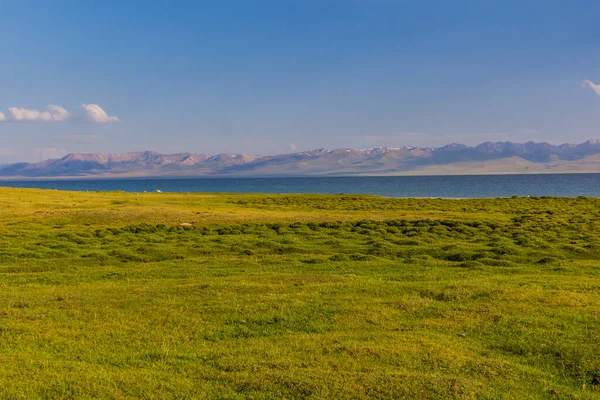 Луг Возле Озера Сон Куль Кыргызстан — стоковое фото