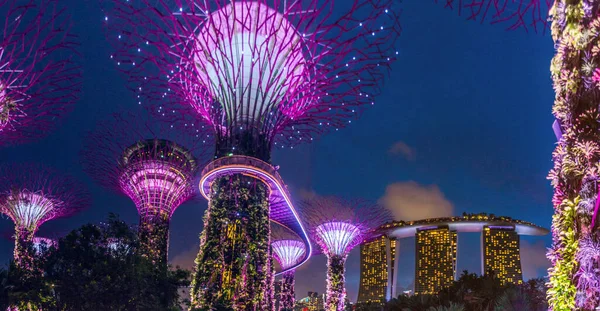 Singapur Singapur Marzo 2018 Vista Nocturna Del Edificio Supertree Grove —  Fotos de Stock