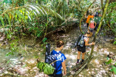 TAMAN NeGARA, MALAYSIA - 17 Mart 2018: Turistler Taman Negara Ulusal Parkı 'ndaki bir dereyi geçiyorlar.
