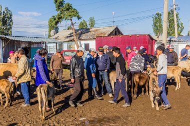 KARAKOL, KYRGYZSTAN - 15 Temmuz 2018: Karakol 'daki hayvan pazarında yerel halk.