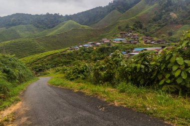 Cameron Highlands, Malezya 'daki çay çiftliklerindeki küçük bir köy manzarası
