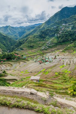Filipinler, Luzon Adası 'ndaki Batad Rice Terasları