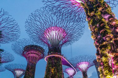 SINGAPORE, ŞARKI - 11 Mart 2018 Singapur 'daki Supertree Grove' un Akşam Görüşü
