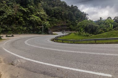 Cameron Highlands, Malezya 'daki dağ yolu.