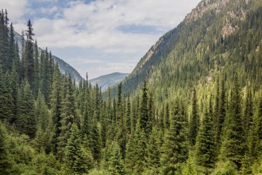 Kırgızistan 'daki Karakol Nehri Vadisi