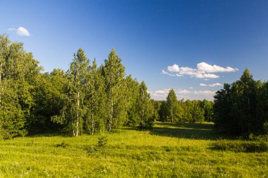 Volgograd Oblastı bölgesinde Rusya 'nın manzarası