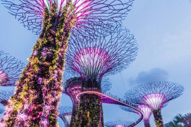 SINGAPORE, ŞARKI - 11 Mart 2018 Singapur 'daki Supertree Grove' un Akşam Görüşü