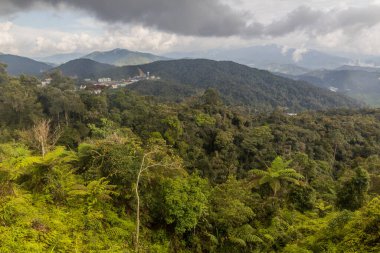 Cameron Highlands, Malezya 'nın manzarası