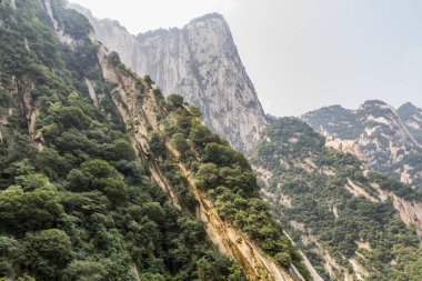 Çin 'in Şanksi eyaletindeki Hua Shan dağının yamaçlarında.