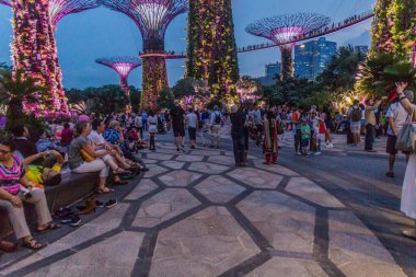SINGAPORE, SINGAPORE - 11 Mart 2018: Gece Supertree Grove, Körfezin yanındaki Bahçe, Singapur