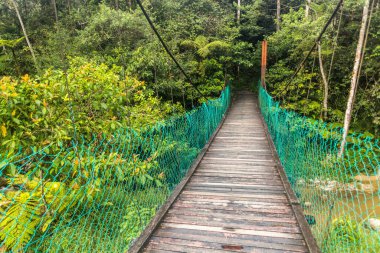 Cameron Highlands, Malezya 'da Taman Rata kasabası yakınlarında asılı duran bir köprü.