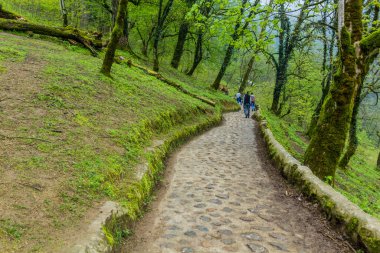 RUDKHAN, İRAN - 7 Nisan 2018: İran 'daki Rudkhan şatosuna giden yol üzerindeki turistler
