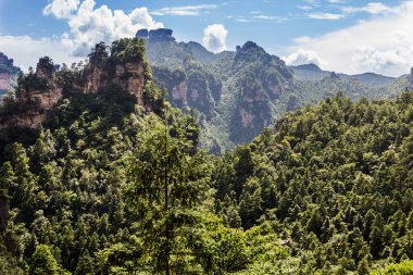 Çin 'in Hunan eyaletindeki Zhangjiajie Ulusal Orman Parkı manzarası