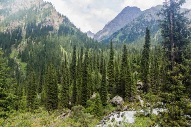 Kırgızistan 'daki Karakol Nehri Vadisi