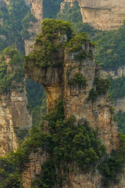 Çin 'in Hunan eyaletindeki Zhangjiajie Ulusal Orman Parkı' ndaki Wulingyuan Manzarası ve Tarihi İlgi Alanı 'nın Kum Taşı direği
