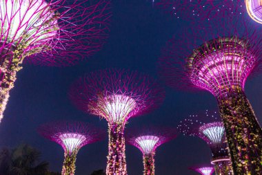 Singapur 'daki Supertree Grove' un akşam manzarası
