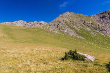 Karakol yakınlarındaki dağ çayırları, Kırgızistan