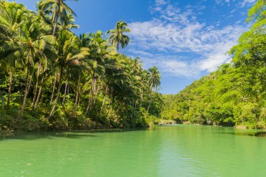 Filipinler, Bohol Adası 'ndaki Loboc Nehri manzarası