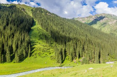 Kırgızistan 'daki Terskey Alatau dağ sırasındaki Arashan vadisi.