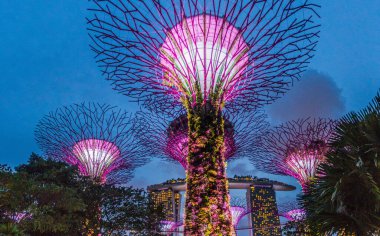 SINGAPORE, SINGAPORE - 11 Mart 2018: Singapur 'daki Supertree Grove ve Marina Bay Sands binasının akşam manzarası