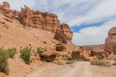 Kazakistan 'daki Charyn Kanyonu Duvarları