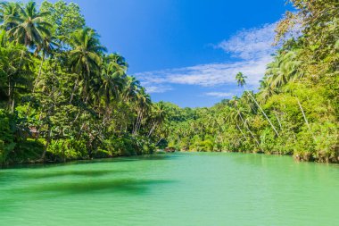 Filipinler, Bohol Adası 'ndaki Loboc Nehri manzarası