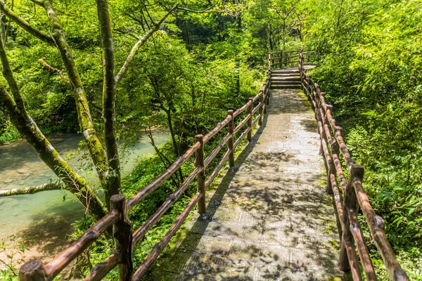 中国湖南省張家界市国家森林公園の黄金の鞭ストリームに沿ってハイキングパス — ストック写真