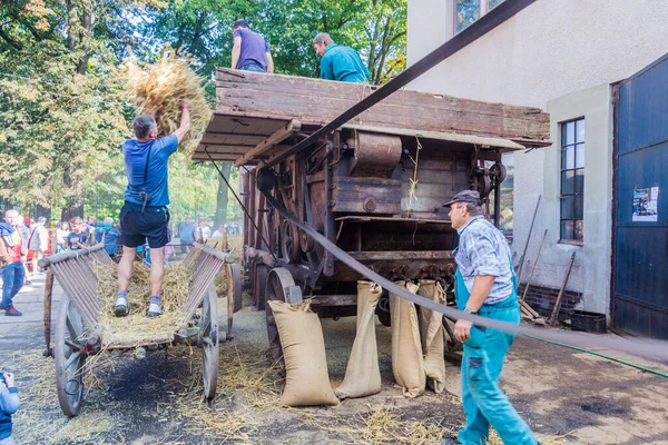 チェコ ザンベルク 2018年9月15日 チェコ ザンベルクにある旧機械技術博物館 Muzeum Starych Stroju Techni の木製の脱穀機での穀物の脱穀 — ストック写真