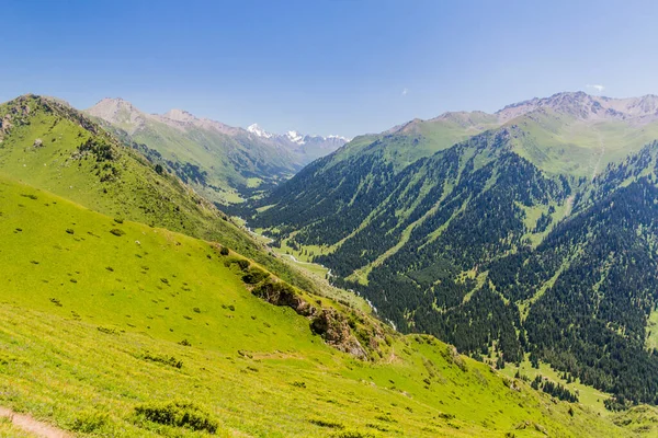 Tal Der Nähe Von Karakol Kirgisistan — Stockfoto