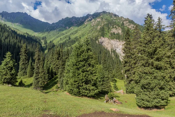 Valle Arashan Cordillera Terskey Alatau Kirguistán — Foto de Stock