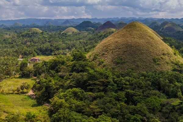 Geologisk Formation Chokladbergen Bohol Island Filippinerna — Stockfoto