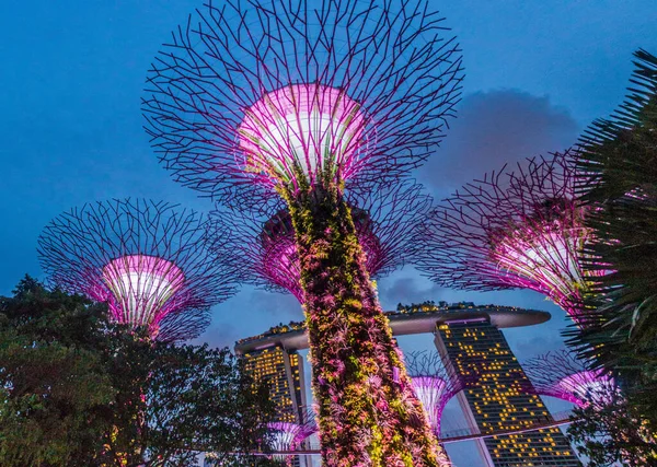 Singapur Singapur Marzo 2018 Vista Nocturna Del Edificio Supertree Grove —  Fotos de Stock