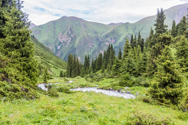 Údolí Poblíž Průsmyku Ala Kul Kyrgyzstánu — Stock fotografie
