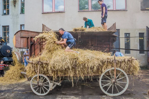 Zamberk Tschechien September 2018 Getreidedreschen Einer Hölzernen Dreschmaschine Museum Für — Stockfoto