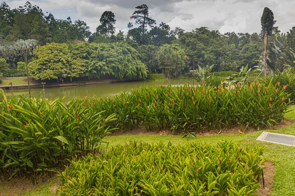 Teich Botanischen Garten Von Singapur — Stockfoto