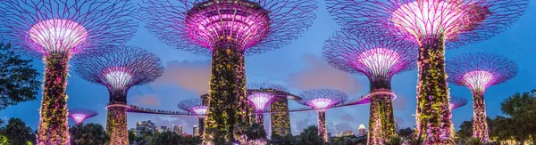 Singapur Singapur Marzo 2018 Vista Nocturna Supertree Grove Singapur —  Fotos de Stock