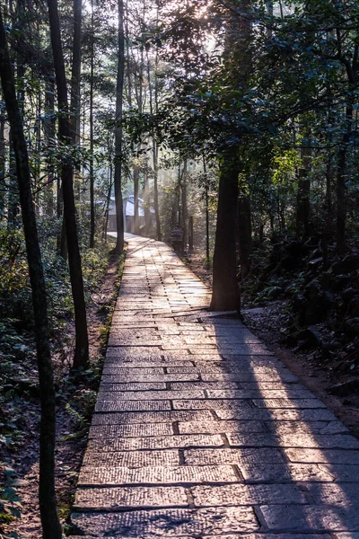 Pemandangan Pagi Dari Sebuah Jalan Wulingyuan Scenic Historic Interest Area — Stok Foto