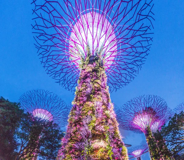 Singapur Singapur Marzo 2018 Vista Nocturna Supertree Grove Singapur — Foto de Stock