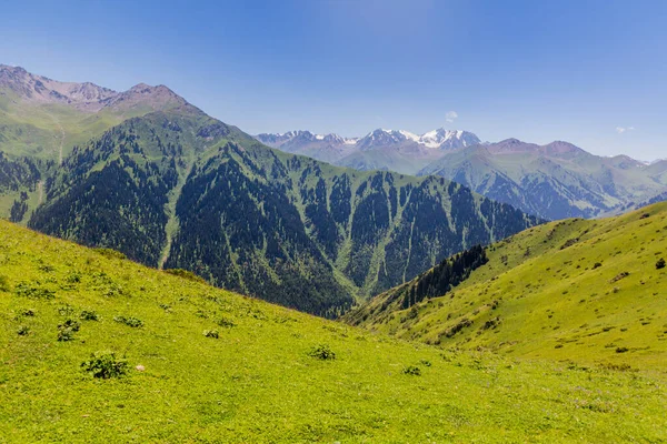 Terskey Alatau Gebirge Kirgisistan — Stockfoto