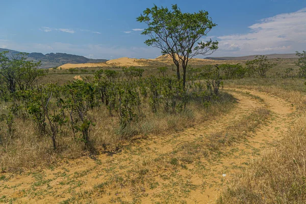 Sarykum Grande Dune Eurasie Dans Réserve Naturelle Daghestan Près Ville — Photo