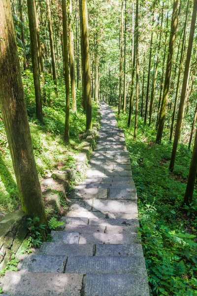 Jalan Hiking Taman Hutan Nasional Zhangjiajie Provinsi Hunan China — Stok Foto