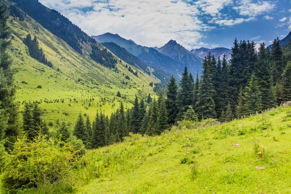 Flusstal Karakol Kirgisistan — Stockfoto