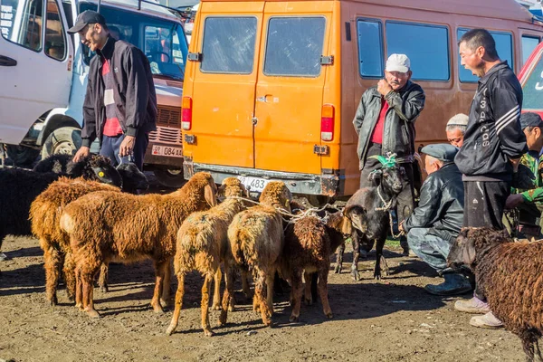 Karakol Kyrgyzstan Června 2018 Místní Lidé Ovcemi Nedělním Trhu Zvířaty — Stock fotografie