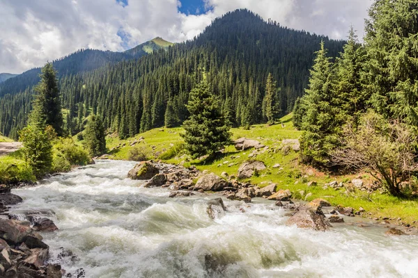 Kırgızistan 'daki Arashan nehir vadisi