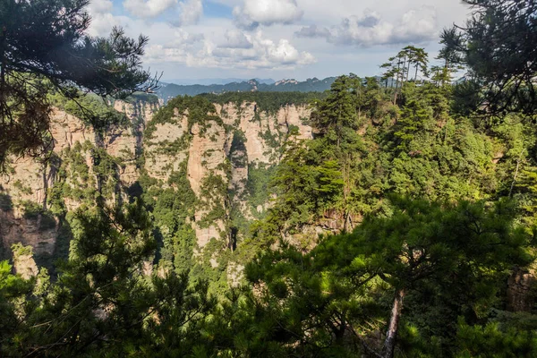 Falésias Rochosas Zhangjiajie National Forest Park Província Hunan China — Fotografia de Stock
