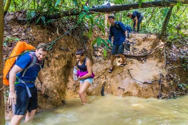 Taman Negara Malaysia Mart 2018 Turistler Taman Negara Milli Parkı — Stok fotoğraf