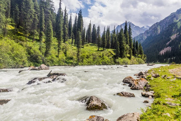 Kırgızistan 'daki Karakol Nehri Vadisi