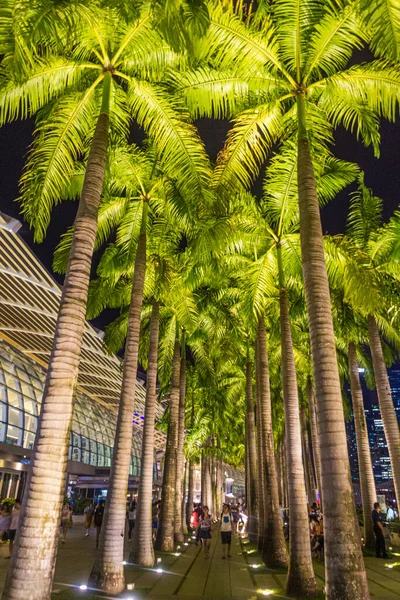 Singapore Singapore March 2018 Night View Palm Trees Next Marina — 스톡 사진