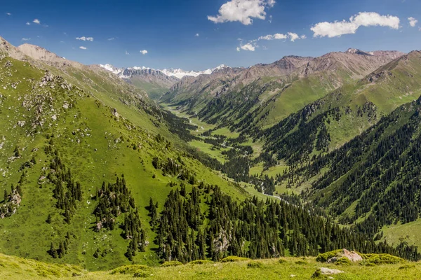 Valley Κοντά Στο Karakol Κιργιζία — Φωτογραφία Αρχείου