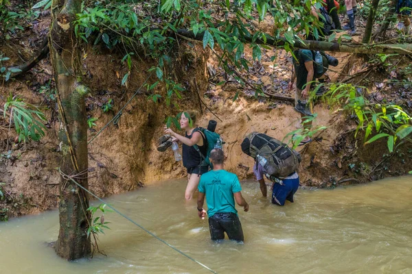 Таман Негара Малайзия Марта 2018 Года Туристы Пересекают Ручей Джунглях — стоковое фото